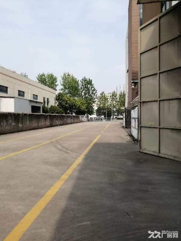 出租袍江望海路5号厂房 - 4