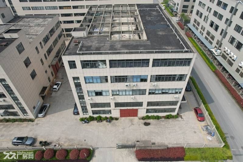 余新镇金星工业区标准厂出租
