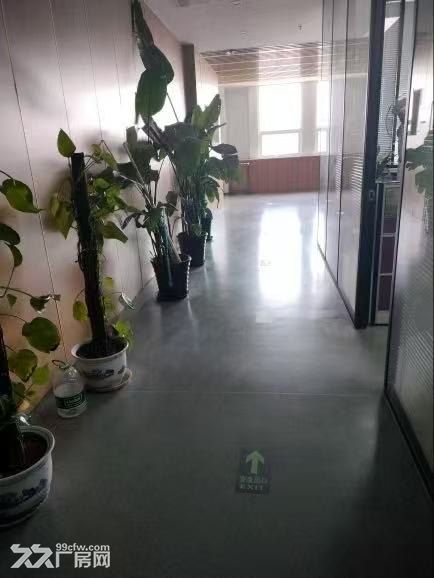 1600企业独栋 遗留实验室 生产环评不限行业甲方直招 - 5