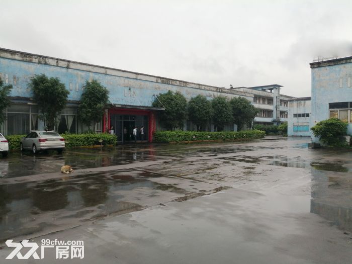 番禺石基凌边村独院厂房8000平,空地10000平不收费,可办环评 - 2