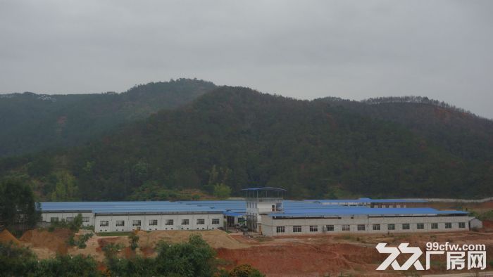 东莞市谢岗镇12000平方独院厂房出售 (集体合同) 3300万