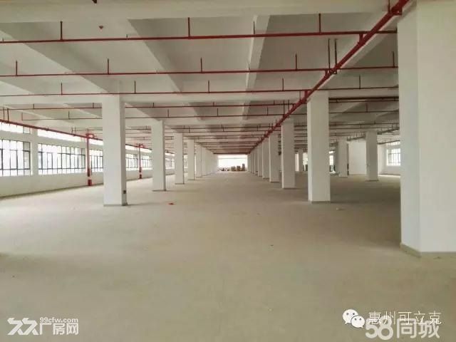 惠城区马安附近独栋原房东全新厂房4500平方出租 - 2