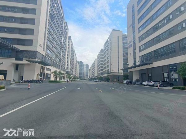 惠城区水口智慧产业园7.2万平方分层.独栋厂房低价出售 - 2