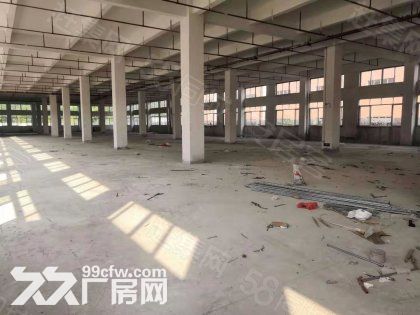 江门台山水步工业新城独院工业园厂房仓库2000平方招租 - 4