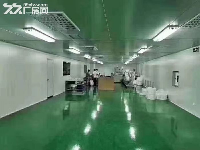 龙华大浪商业中心附近无尘车间1800平招租，红本厂房，无转让费 - 2