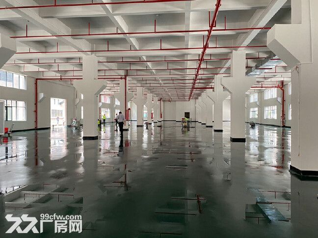 惠阳镇隆甘陂工业园全新独栋厂房13000平,可分租,价格便宜 - 3