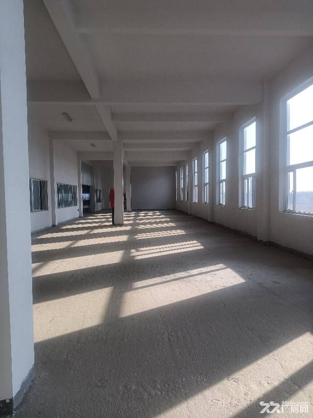 潍坊绿天使产业园招商新建单层厂房出售 - 5