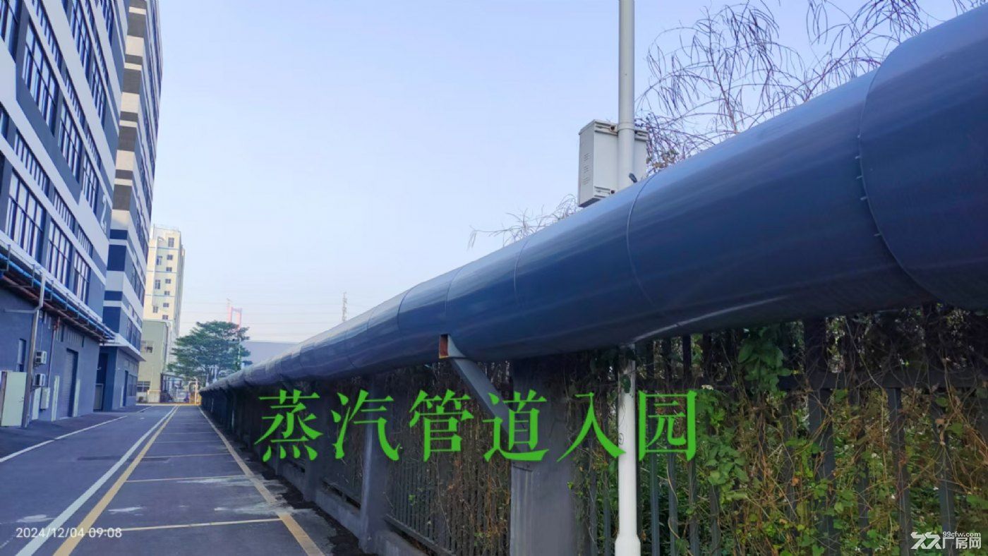 顺德大良.五沙智谷厂房低价招租(红本) - 7