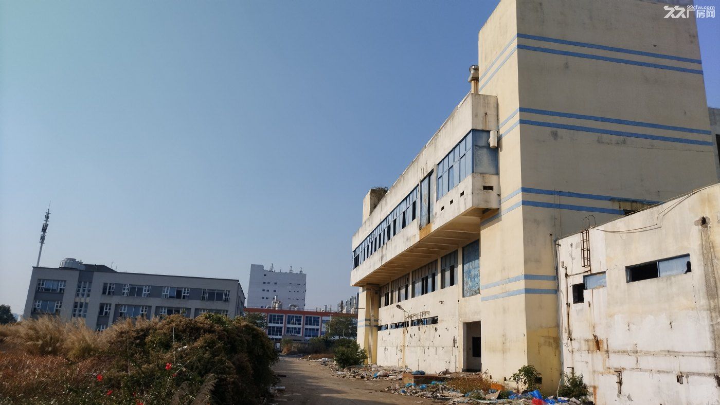 广州厂房,占地48000方,建面24000方, 一口价仅售9100万,评估3亿。 - 7