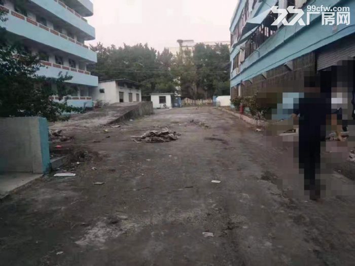塘厦高速路口 14元每平方 独院厂房仓库出租3万平方 可分租 - 3