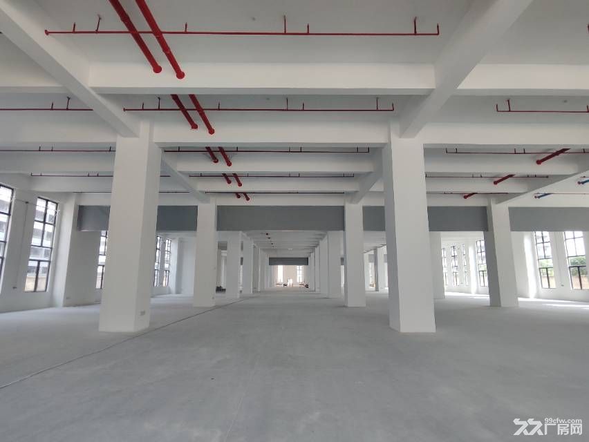 寮步原房东全新重工业厂房57000平方厂房出租，空地超大 - 6