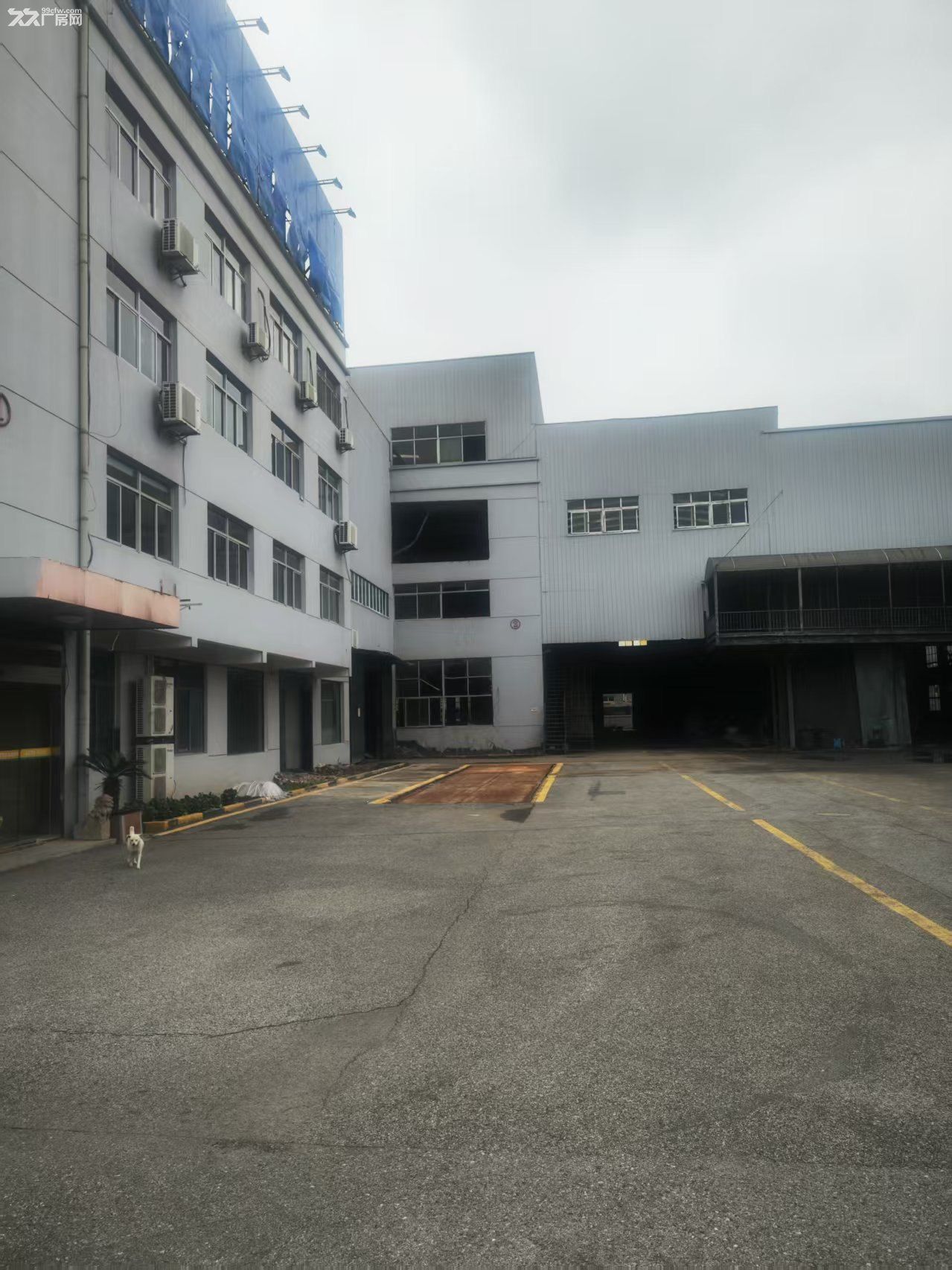 金山工业区独门独院10000平米厂房出售