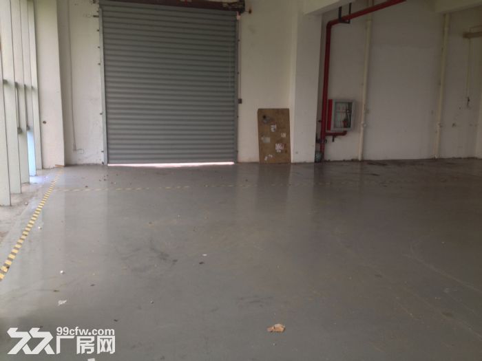 金都路虹梅南路园区1170平米标准厂房 - 2