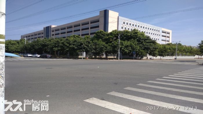 东莞市樟木头１１０７０平方独院厂房出售(集体合同)2650万 - 2