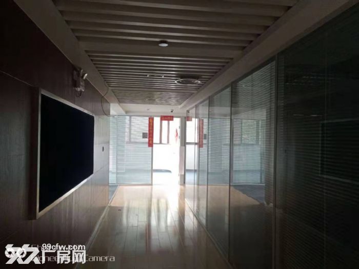 整栋3500实验室可办环评104地块实验室研发办公均可 - 6