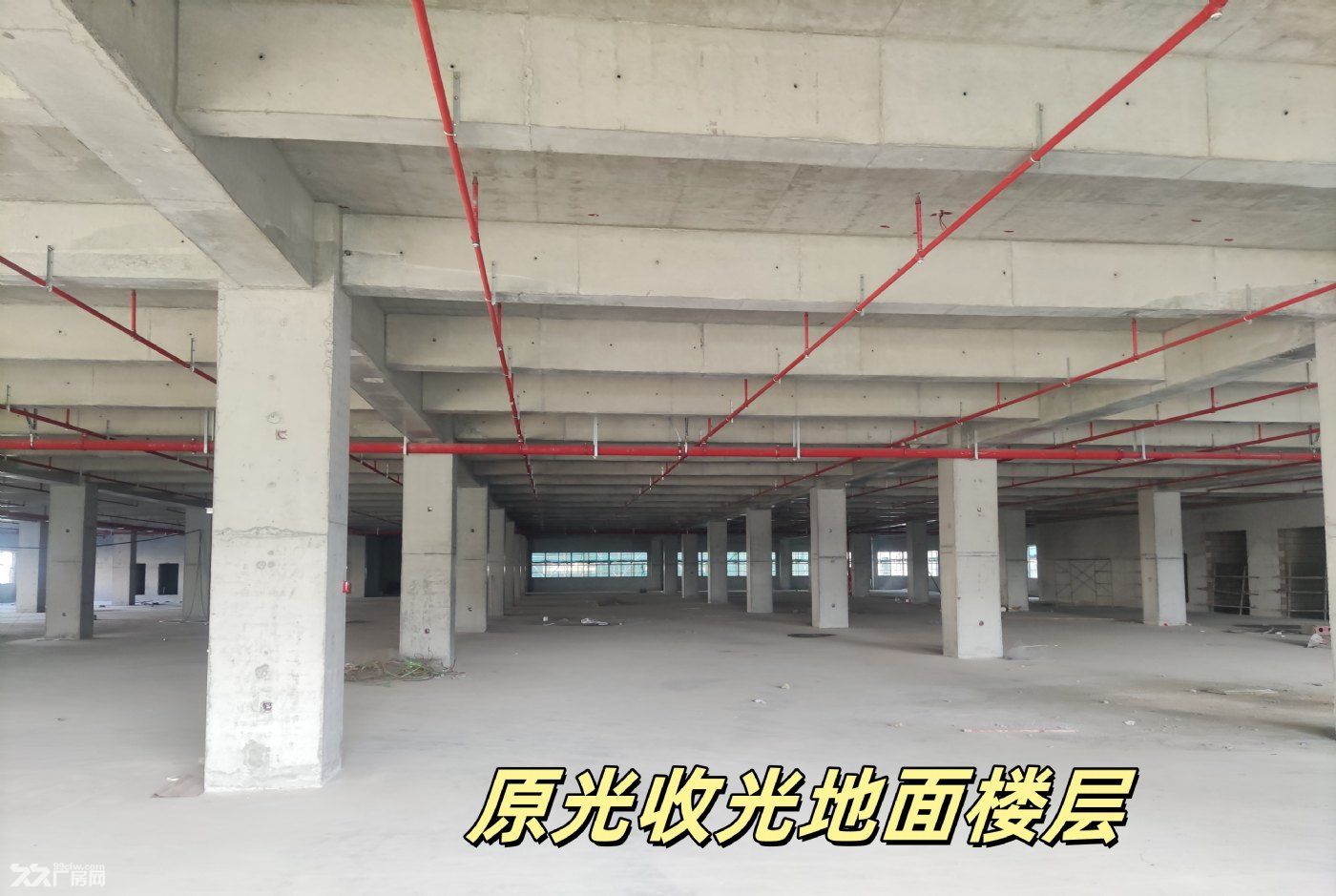 国有二类全新园区厂房出租 - 7