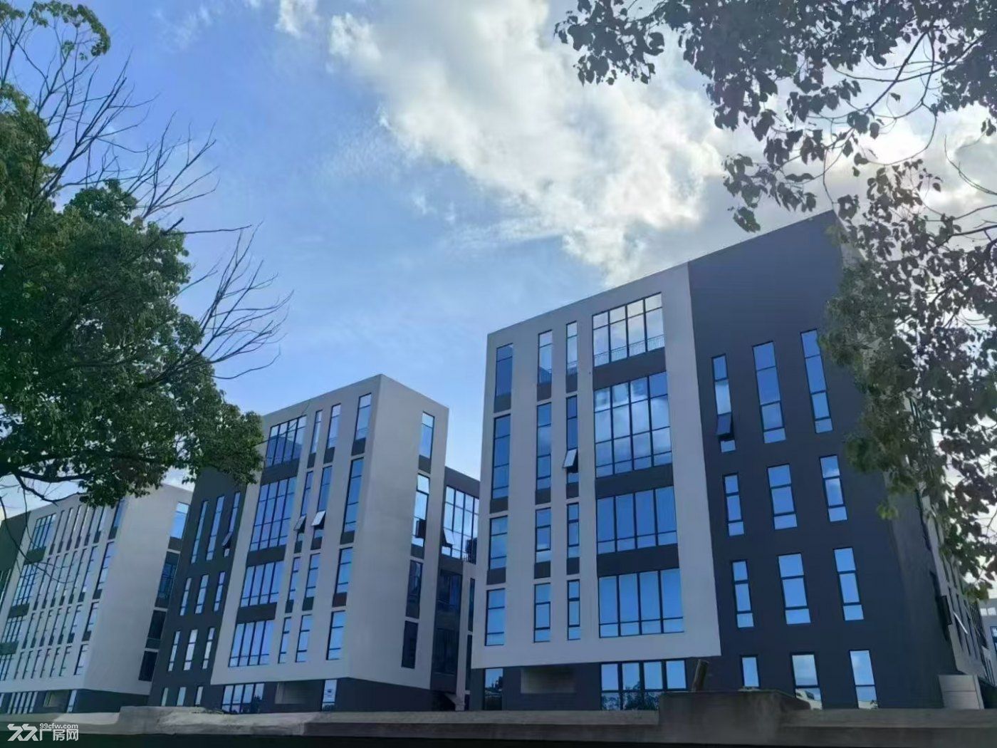龙泉驿区万洋科技城/独立产权/价格最低 - 3