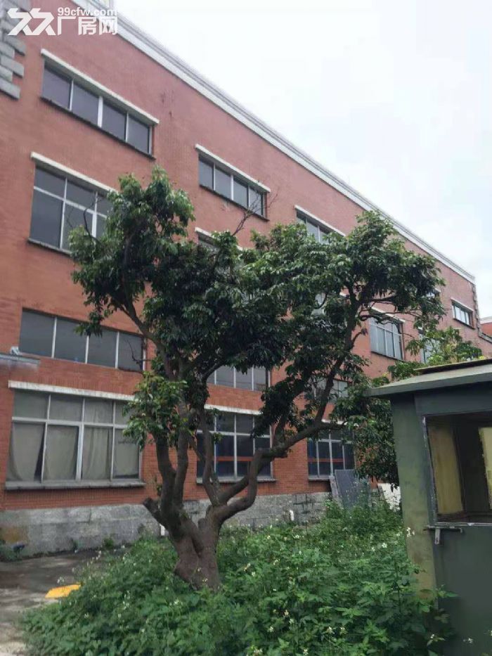 东莞常平镇占地4550建筑5700国有证工业厂房出售