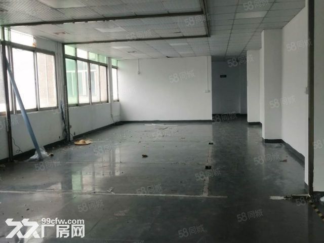 龙岗新生新出一楼850平标准厂房招 - 2