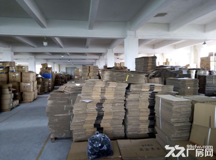 花都新华成熟工业园独院标准厂房8000平,可分租,空地大,带宿舍 - 3