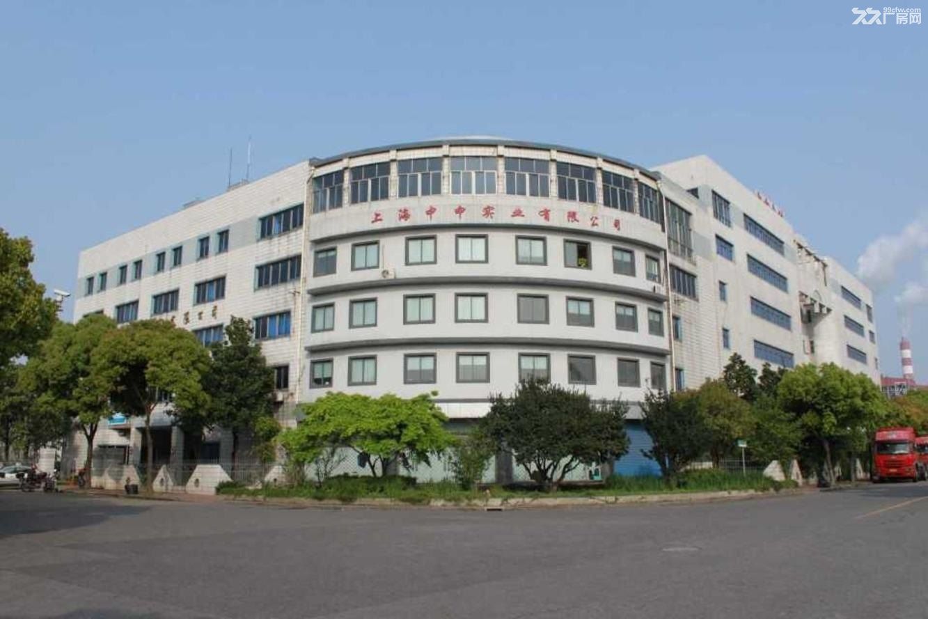 出租浦东外高桥保税区仓库厂房【招租公告】 - 7