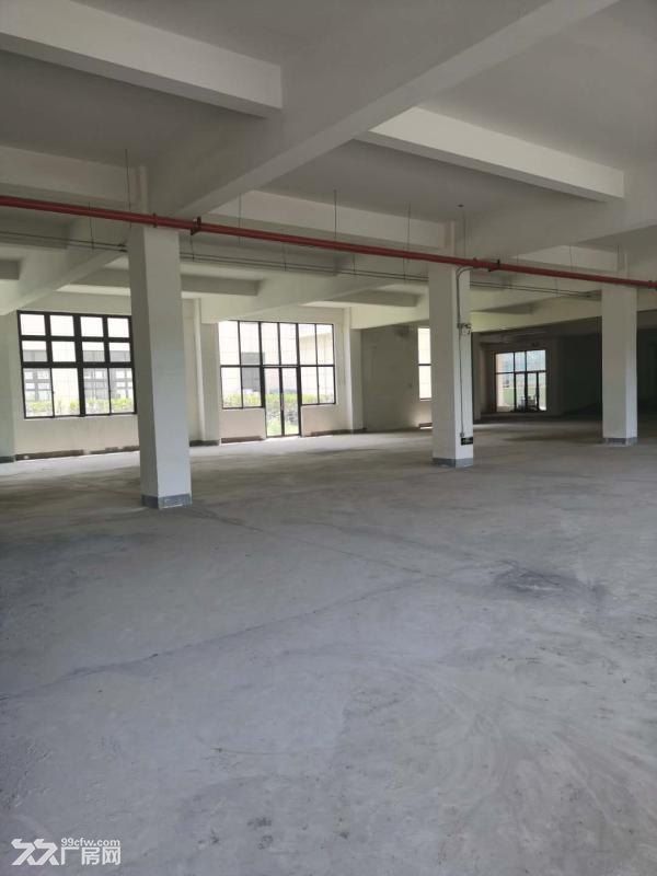 江北新区长芦街道南京稀缺两层厂房单价3800一平 - 2