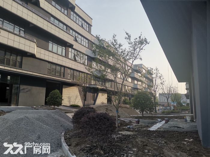 平湖开发商直售50年产权标准厂房2380平