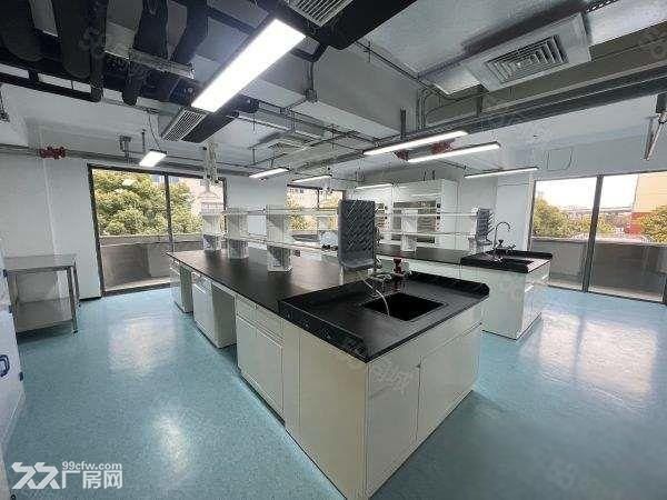 张江药谷104板块环评医药化学实验室 芯片半导体 产业园招租