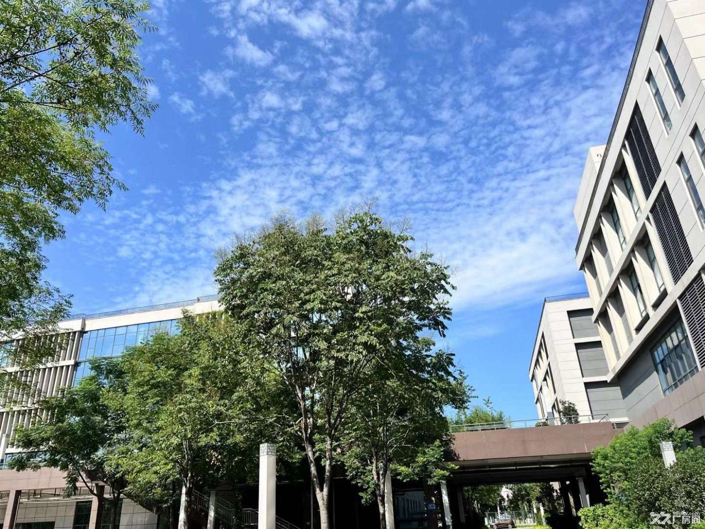 高新区花园式工业厂房招租啦!与国企为邻! - 6