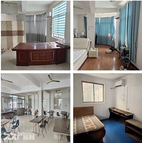 奉贤四团单层带行车厂房出租 非中介 - 3