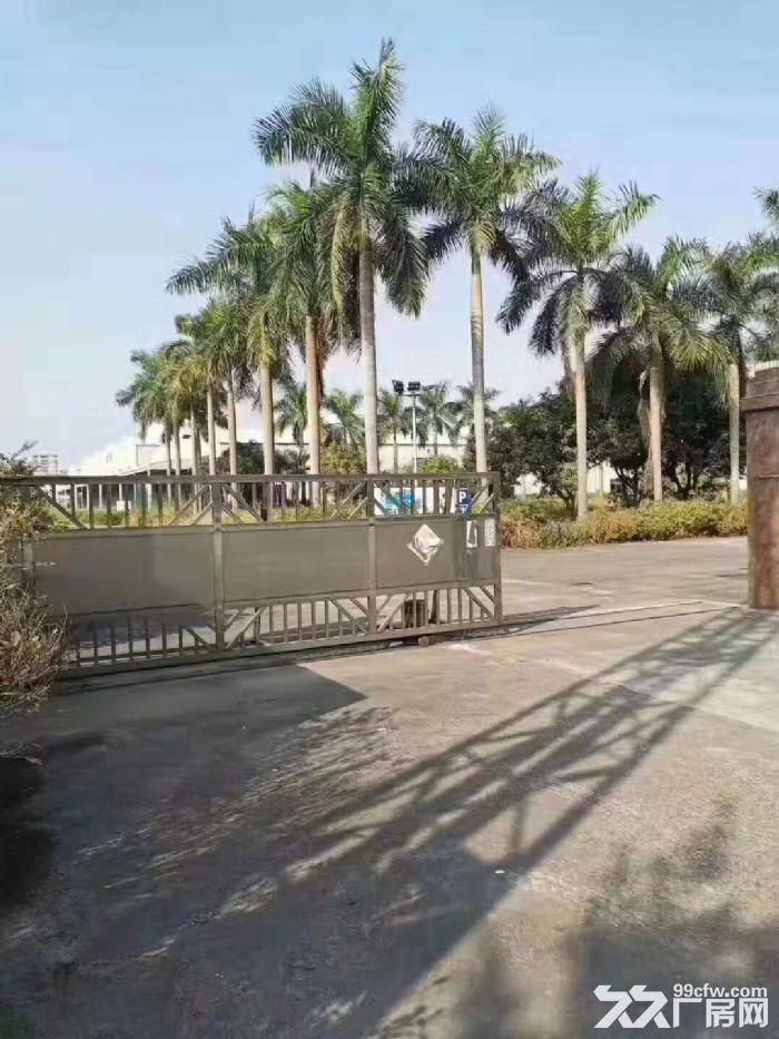 凤岗单一层钢构厂房出租2万平，适合家具 建筑材料 塑胶 纸品