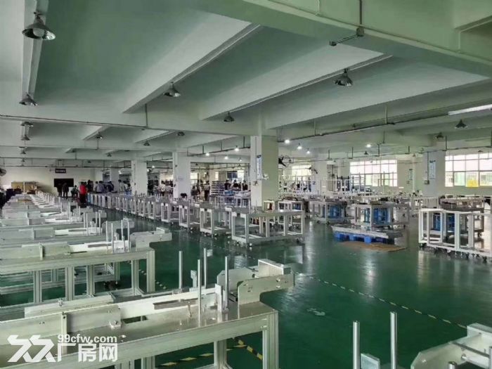 专业代理江门五邑地区厂房,仓库,地皮租售业务 - 4