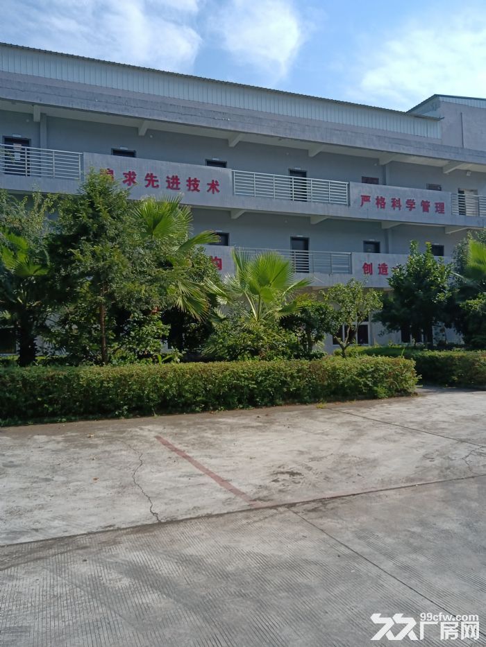 厂房出租13元一平,钢结构层高10米 - 4