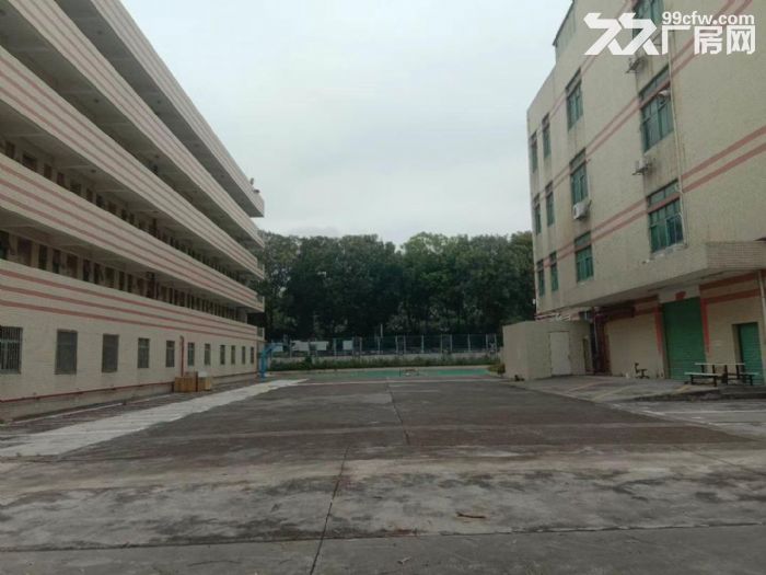 南联一万平方厂房出租