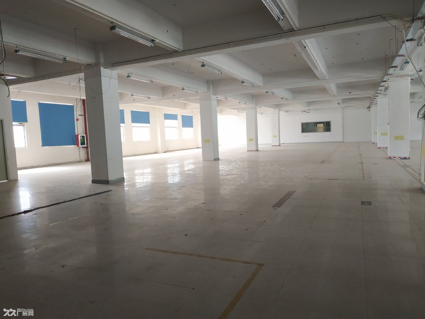 西丽南岗阳光工业区 港大地铁口 独院 一楼 1400平办公厂房仓库场地直租 - 5