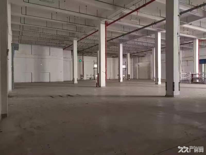 丙二类高台库有货梯,有办公,可进大车底价手续齐全 - 5