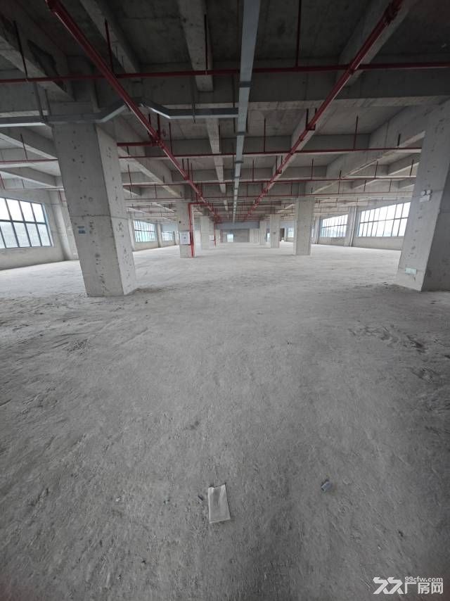 博罗全新7000㎡独栋厂房 - 2