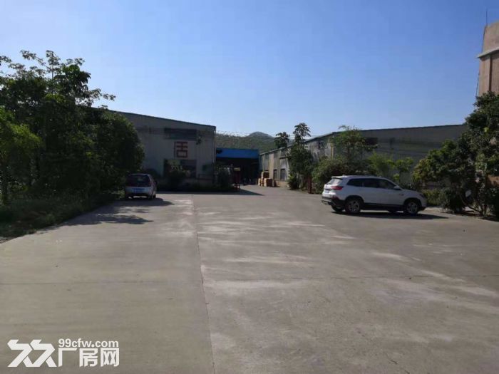 台山单一层钢构独门独院厂房6500平方招租 - 3
