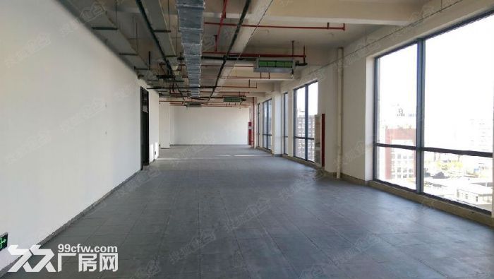 浦东金桥实验,张江实验室,外高桥实验室租赁,104地块,可环评,研发生产均可 - 7