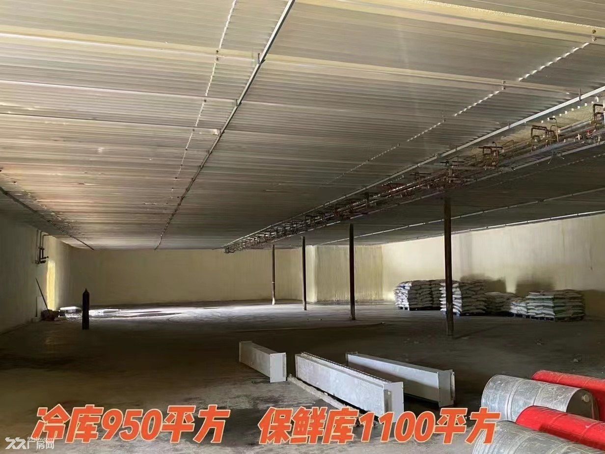 青岛即墨潘家庄村西950平冷库出租1100保鲜库出租 - 3