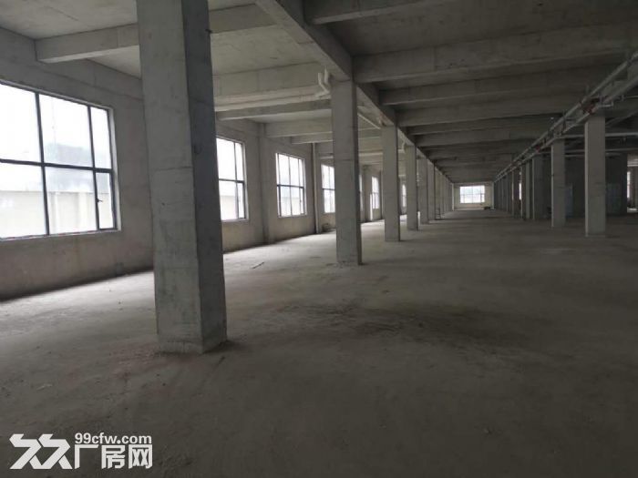 曹路镇春耕路225号,高科技研发,展厅展示,办公,电商文创,仓储都可 - 8