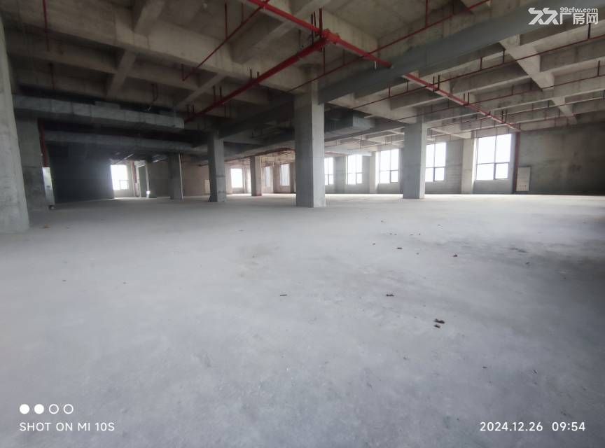 高新区新园区 独栋厂房招租可售 已出证 可按揭 - 2