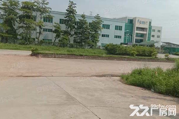 江门新会司前独院工业园厂房30000平方招租,可分栋出租 - 5