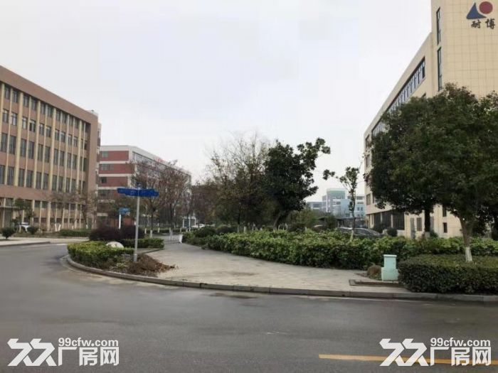 中国归谷嘉善科技园厂房出售哦个人非中介哦 - 2