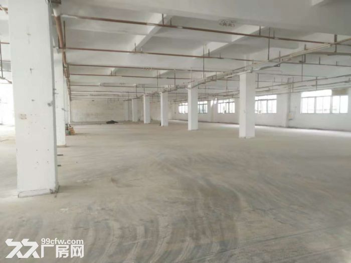 台山水步文华工业区独院一楼标准厂房1600平方出租