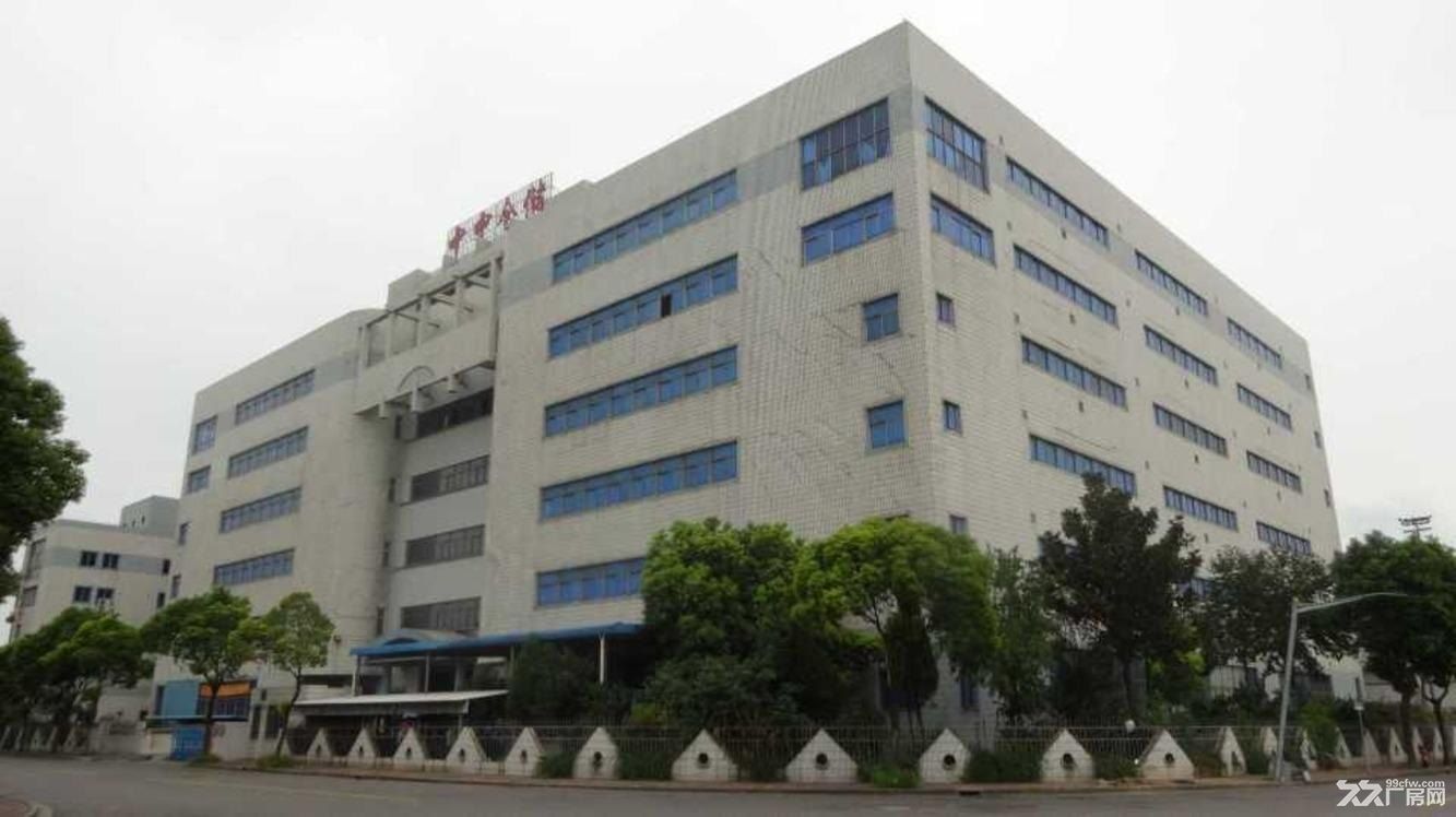 出租浦东外高桥保税区仓库厂房【招租公告】