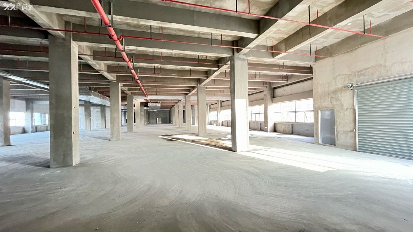 新建标准厂房出租 楼上承重1吨 层高6米 通蒸汽燃气 带排污 - 3