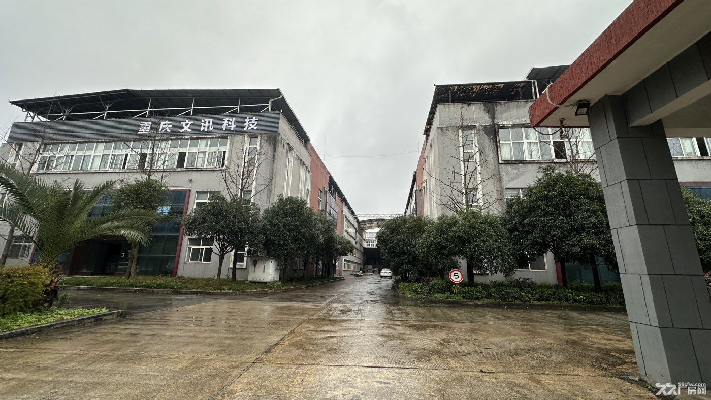 青杠独院标准厂房紧急出租,价格便宜