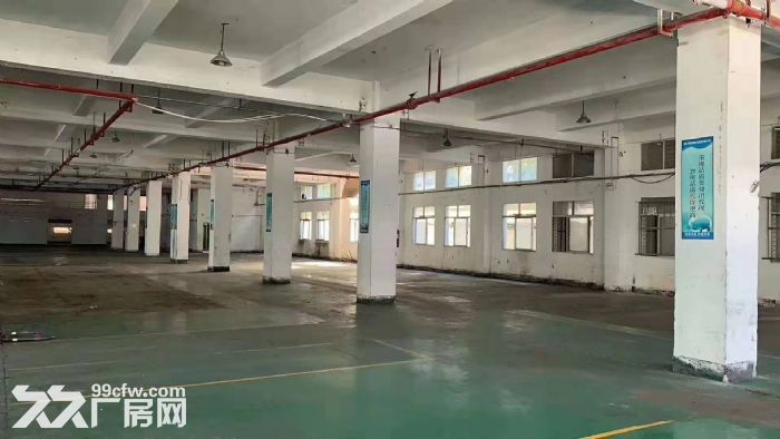 杏林独门独院 3楼2310平 高度5米出租