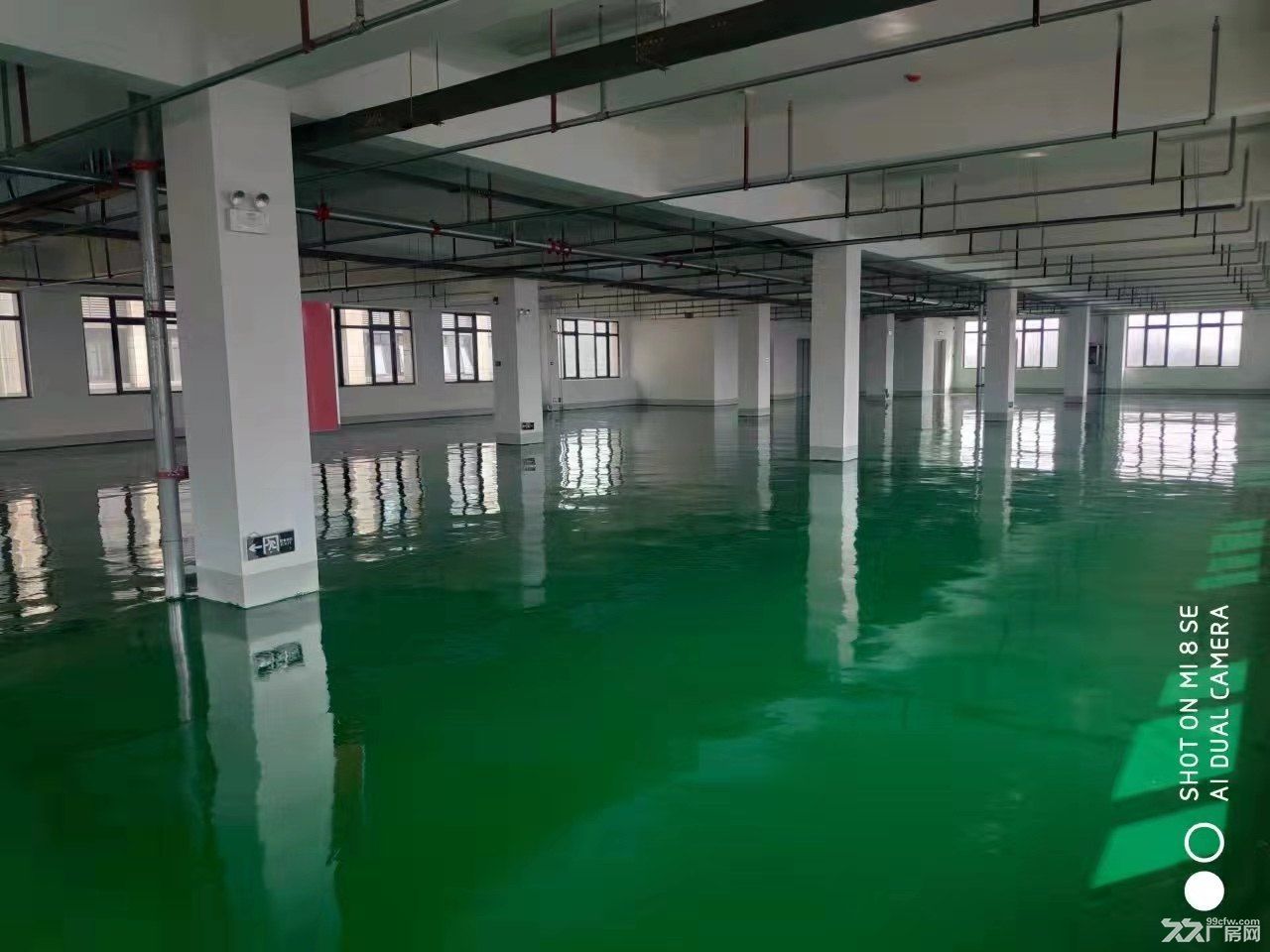 出租新站区1000平米一楼框架结构厂房 - 5